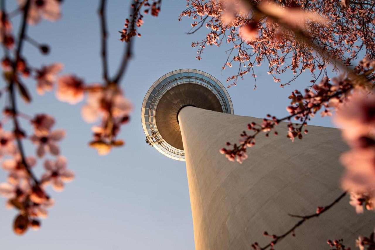 Hostel 曼海姆 外观 照片 The top of the tower
