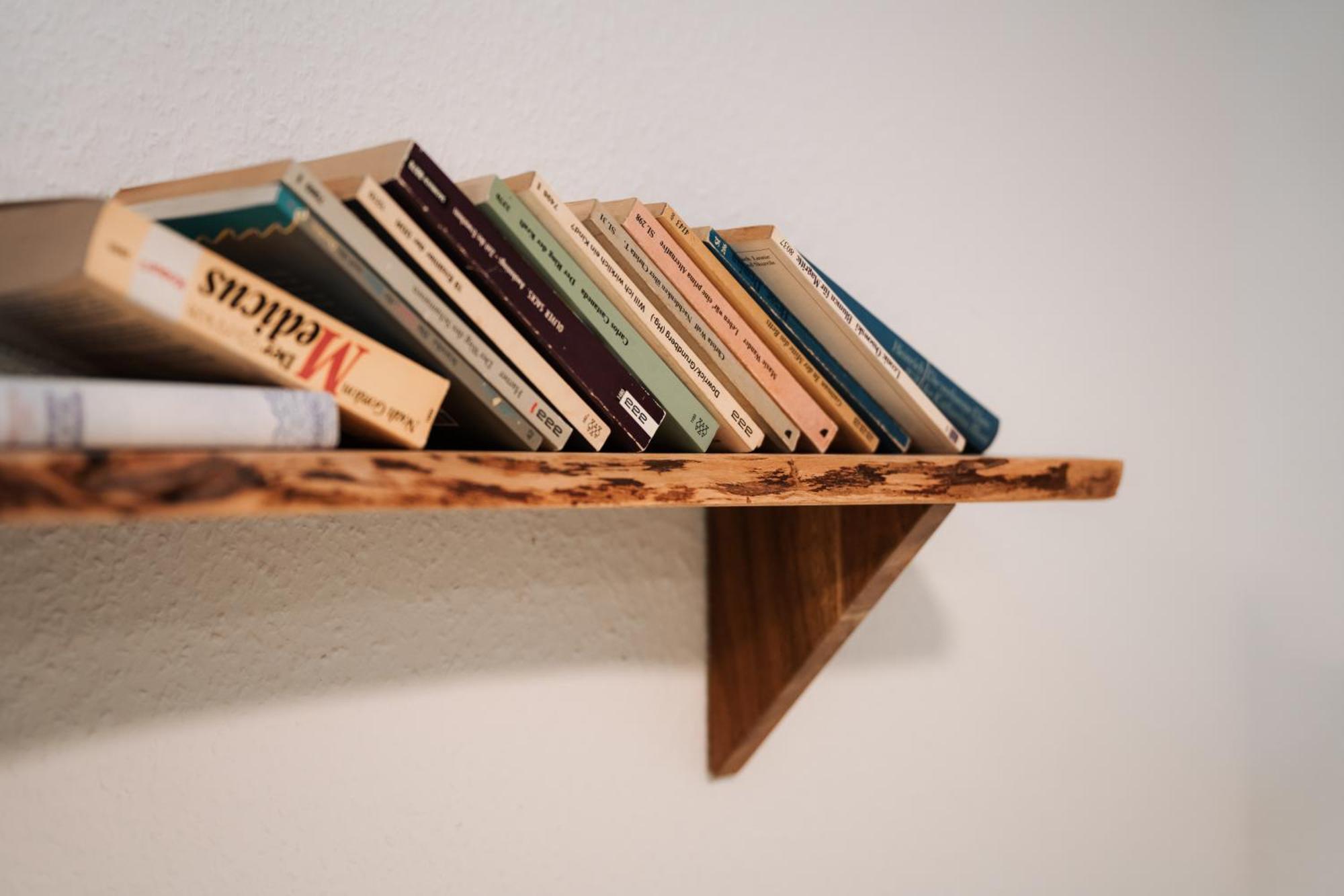 Hostel 曼海姆 外观 照片 Books on a shelf